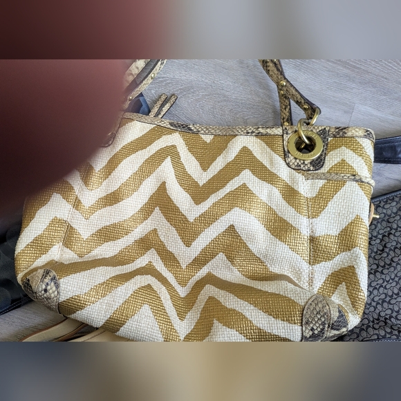 Group of Vintage Coaches . - Picture 12 of 16